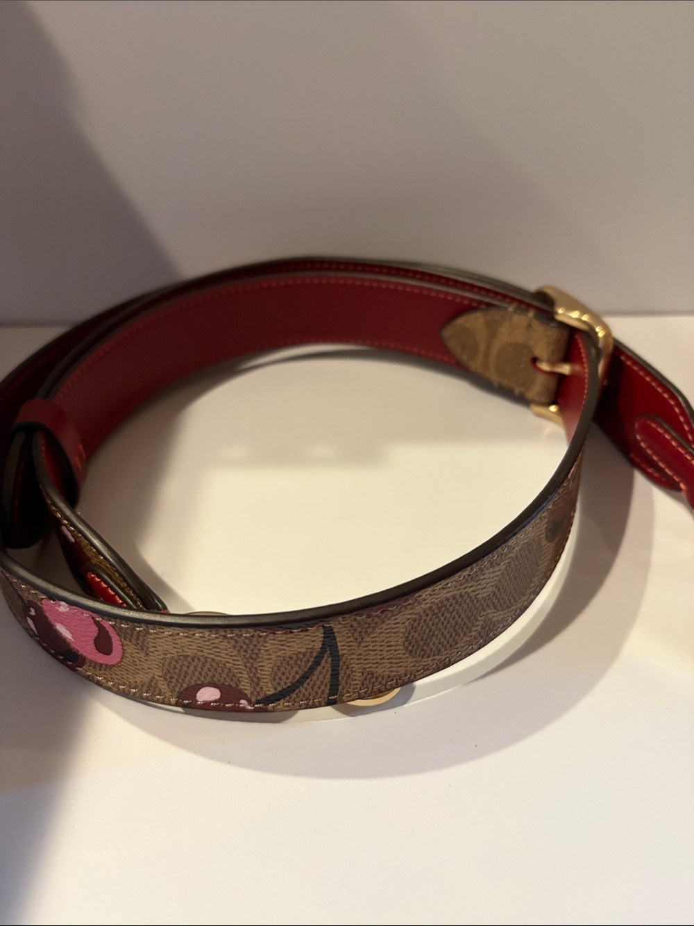 kate spade Brown Signature Canvas Belt with Pink Cherry Motif and Red Trim